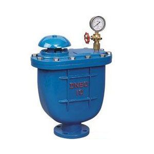 復合式排氣閥CARX